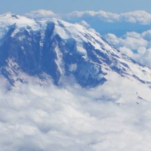 Meet your Posher, Janice